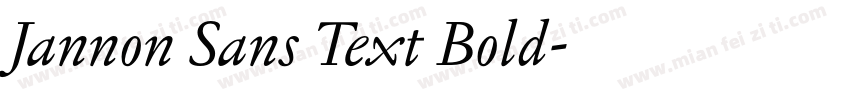 Jannon Sans Text Bold字体转换